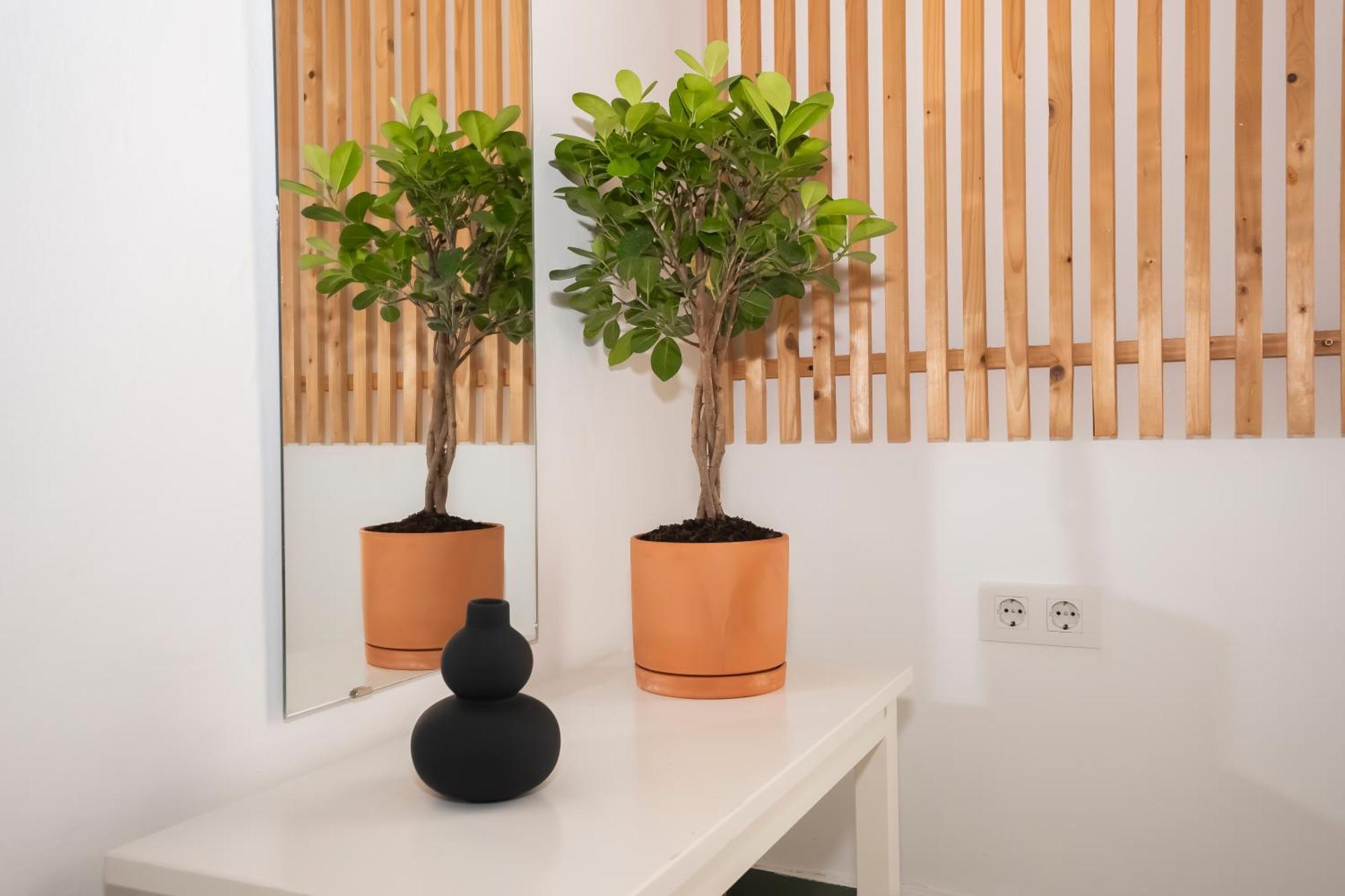 California Apartament Dos De Mayo Σεβίλλη Εξωτερικό φωτογραφία
